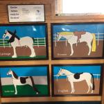 2019_OTRA_0629 (September 01, 2019)